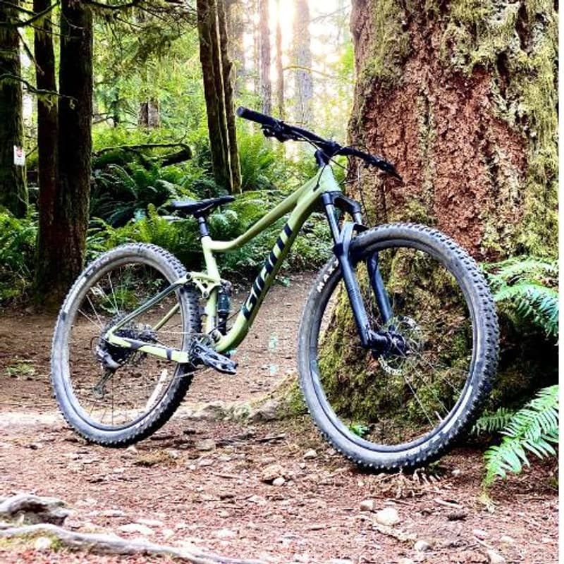 Hardtail and full suspension mountain bikes side by side