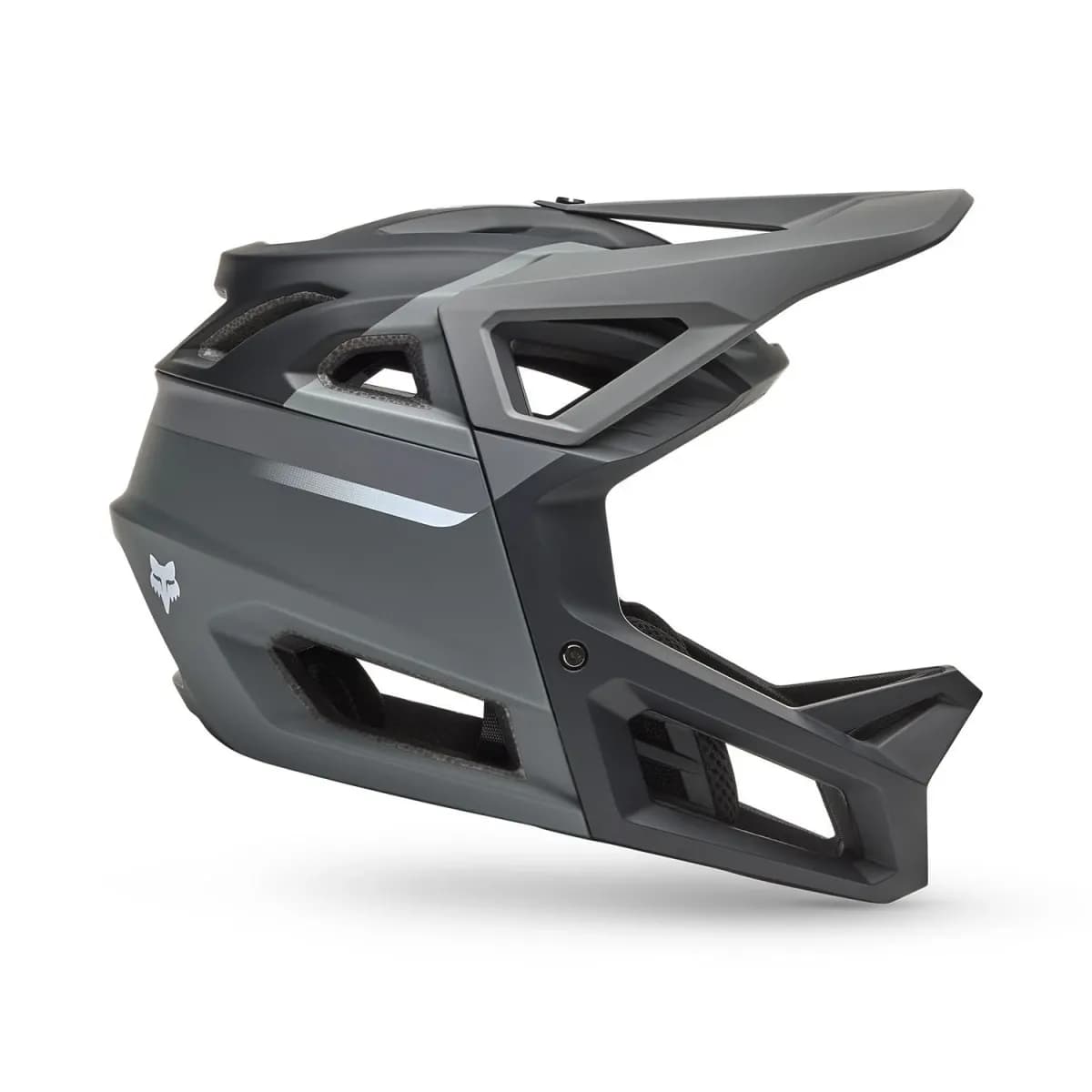 Fox Proframe Rizer MIPS Full Face MTB Helmet