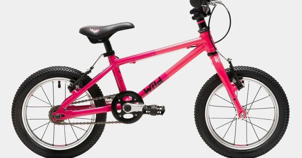 Wild Bikes Wild 14 Kids' Bike