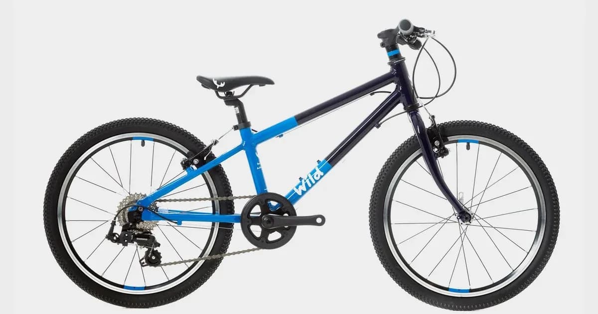 Wild Bikes Wild 20 Kids' Bike