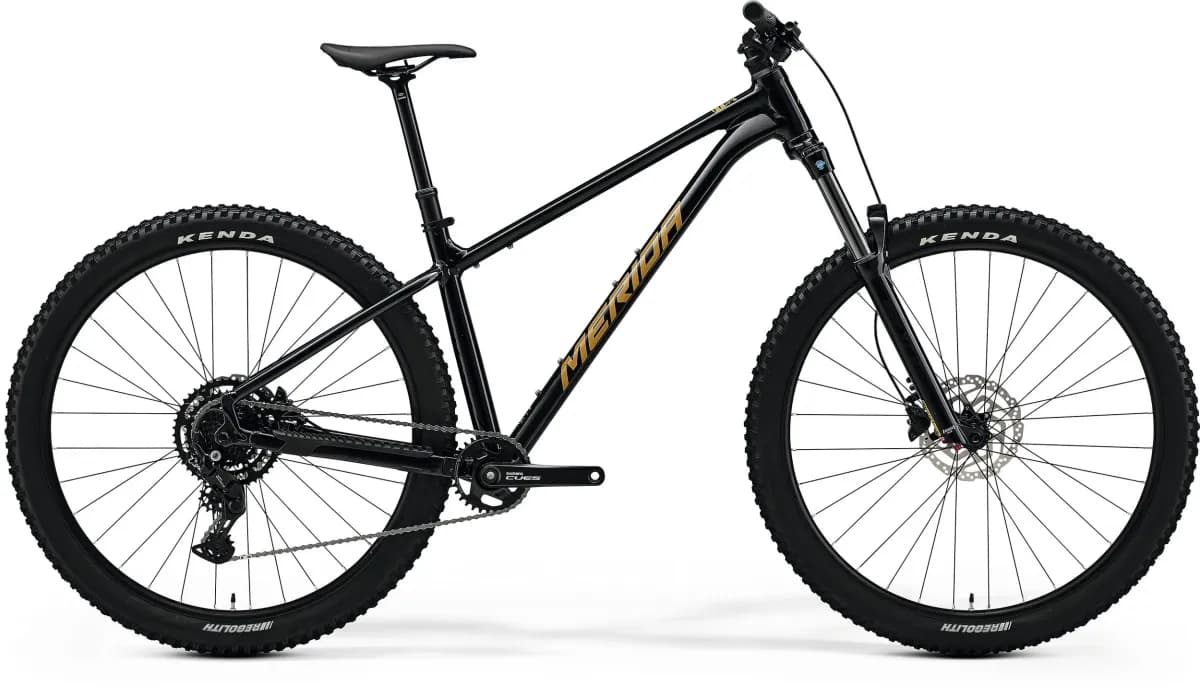 Big Trail 300 - Black (Brown) - MY26 Mountain Bike