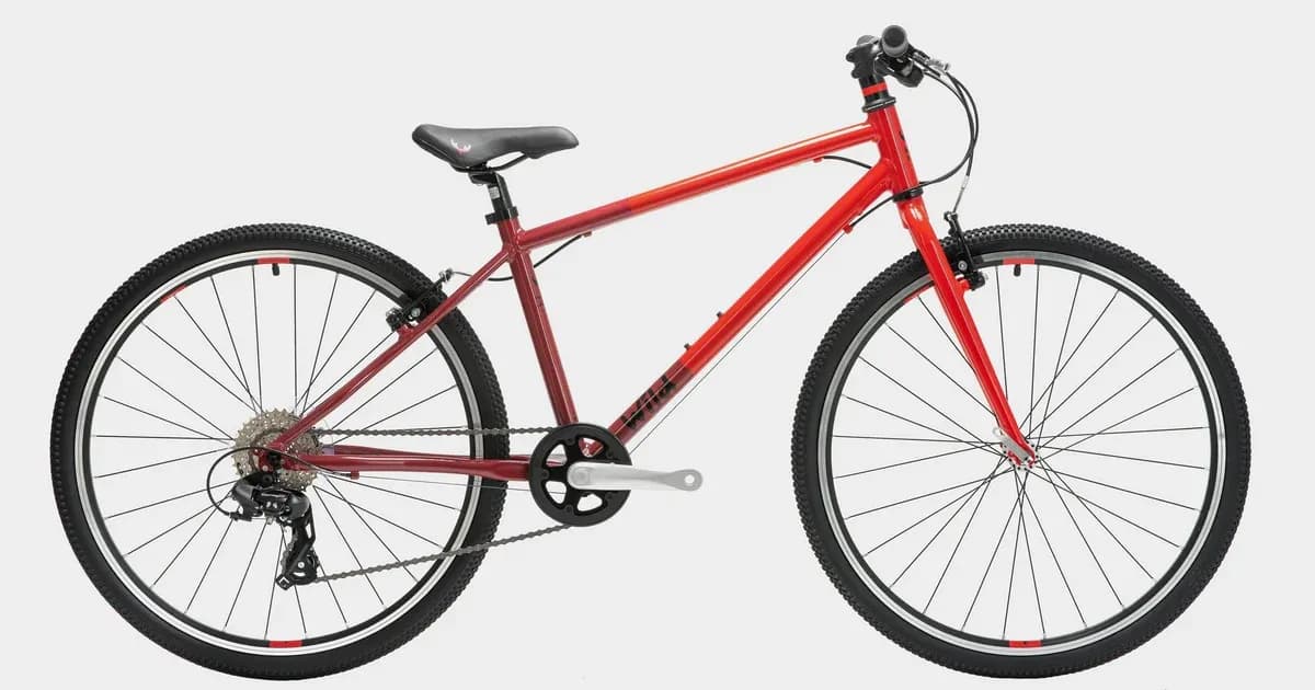 Wild Bikes Kids' Wild 26 Bike