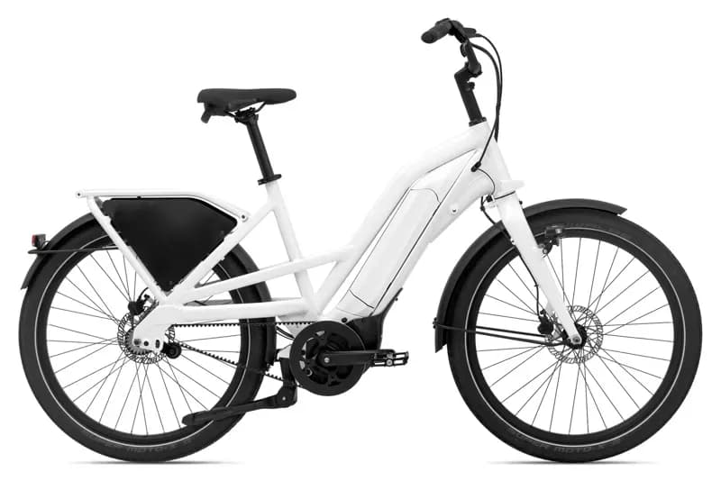 Giant Delivery E+ Electric Cargo Bike 2025