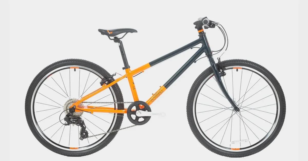 Wild Bikes Wild 24 Kids' Bike